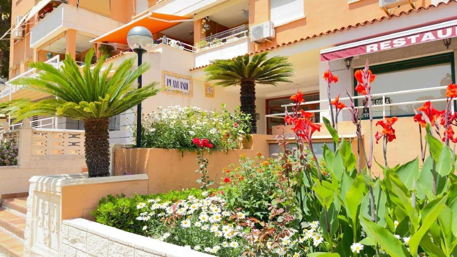 Apartamento Paradise Solo Familias Гандия Екстериор снимка